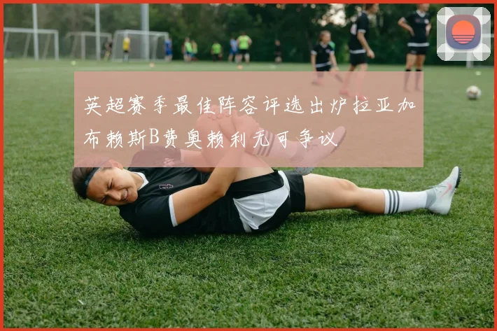 英超赛季最佳阵容评选出炉拉亚加布赖斯B费奥赖利无可争议